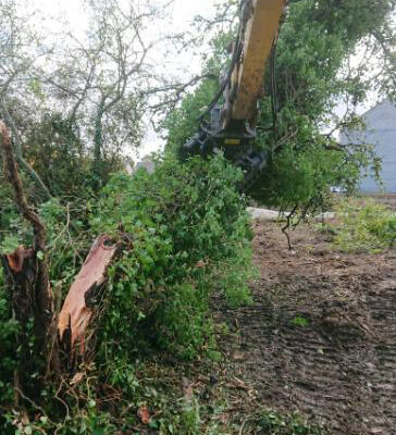 IMG-20201119-WA0001